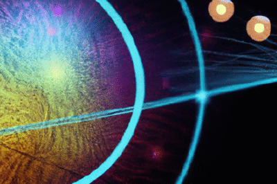 Développez votre intelligence grâce à la courbe cognitive